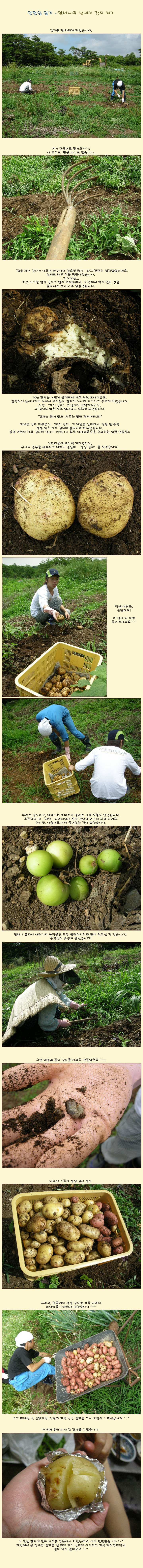 [�Ϻ���] ���Ͻ� �ϱ� - �ҸӴ��� �翡�� ���� ĳ��